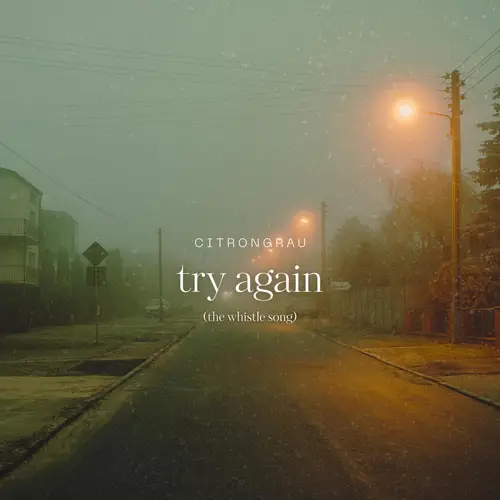 try again (the whistle song) image
