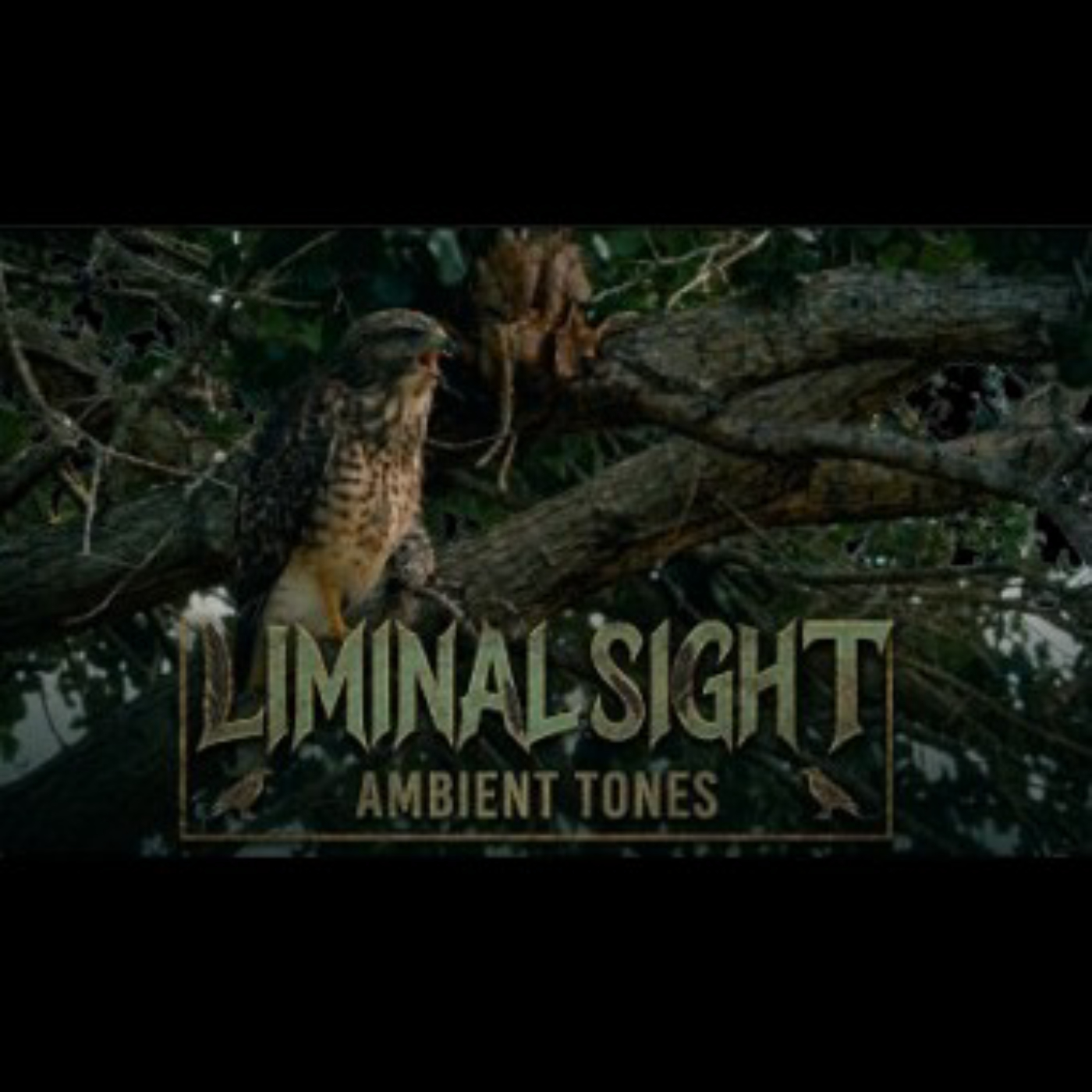 Liminal Sight image
