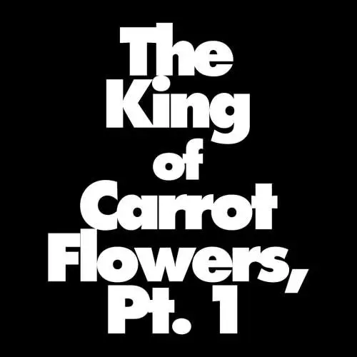 The King Of Carrot Flowers, Pt. 1 image