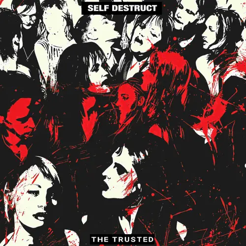 Self Destruct image