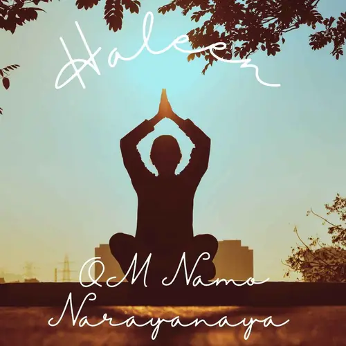 OM Namo Narayanaya image