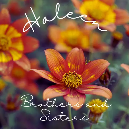 Brothers and Sisters image