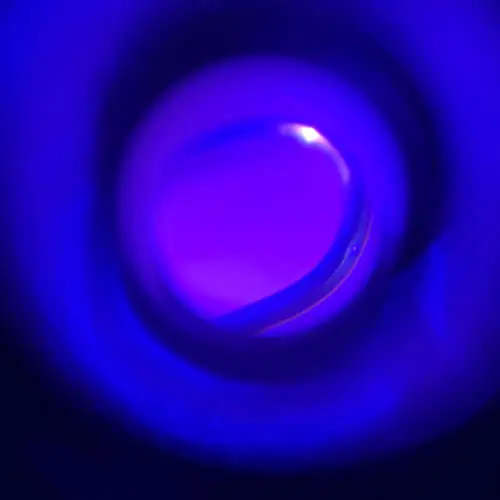 On the Walk Home image