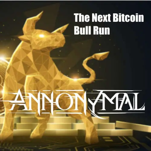 The next Bitcoin Bull Run image