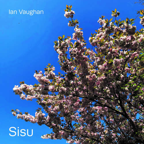 Sisu image