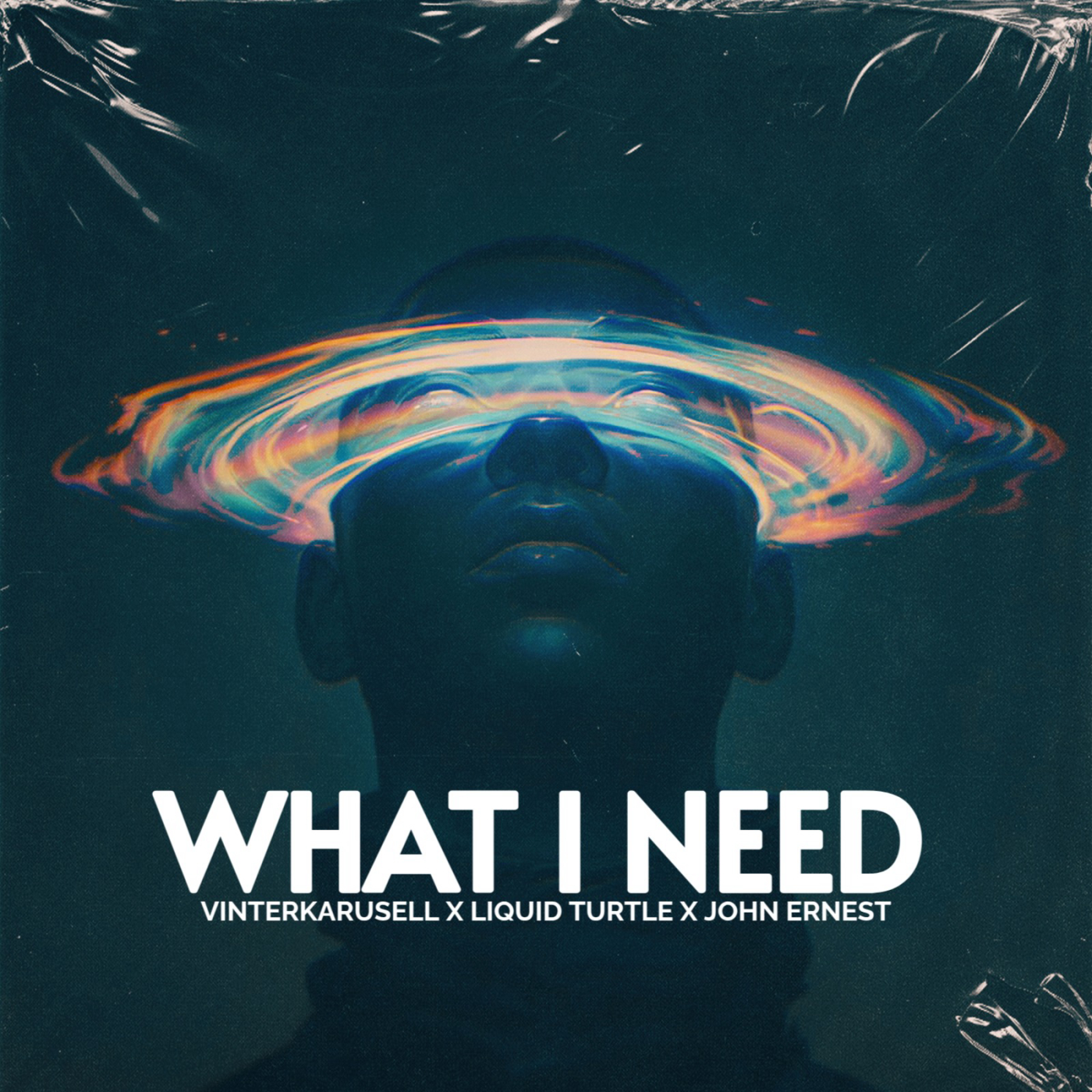 What I Need (feat. Liquid Turtle & John Ernest) image