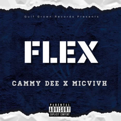 Flex image