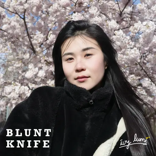 Blunt Knife image