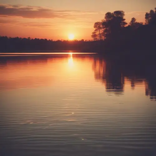 Traditional Asian Erhu Instrumental 🐲🎼 Crane's Dawn Reflection image