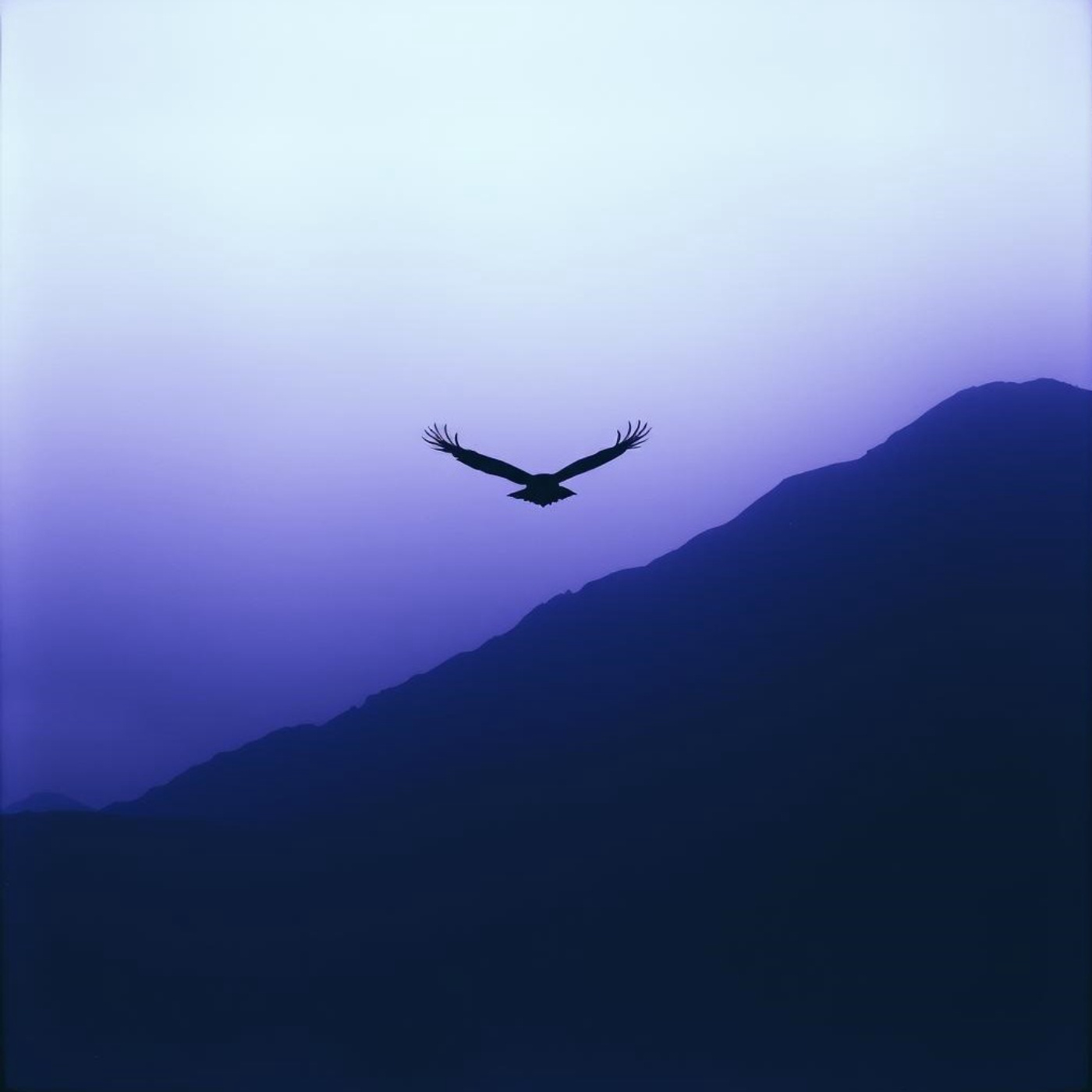 Isaiah 46:11" - The OMEGAMAN image