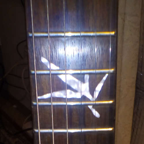 TAKEN BY SPIDERS image