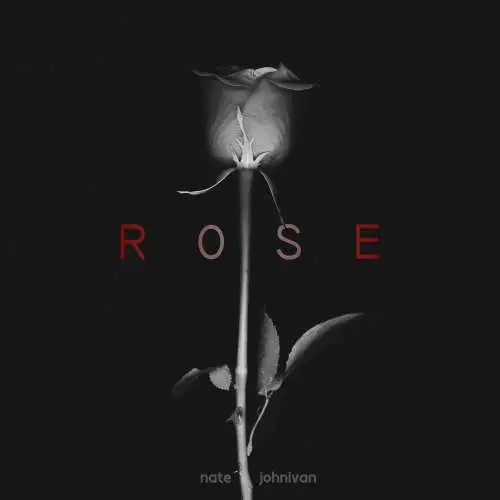Rose image