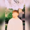 PHJ