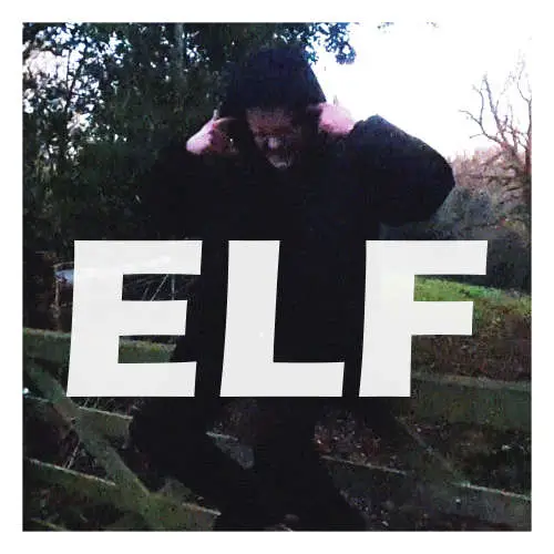 Elf image
