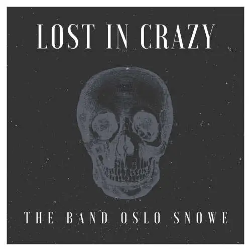 Lost In Crazy image