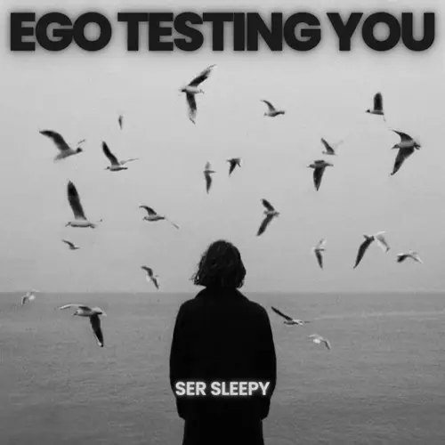 Ego Testing You image