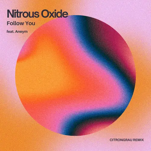 Nitrous Oxide feat. Aneym - Follow You (citrongrau remix) image