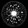 Mycelium Electro