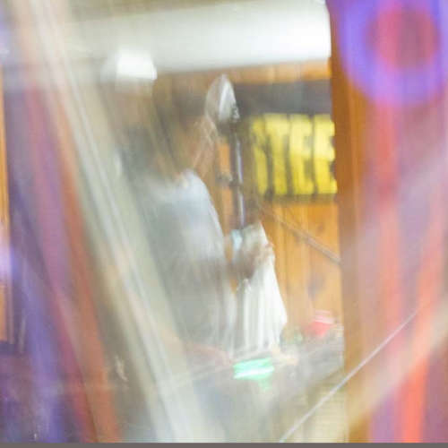 Birds Aren't Real[.] image