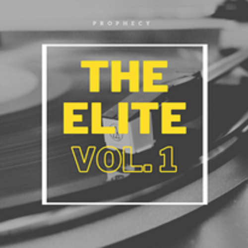 The Elite vol. 1 image