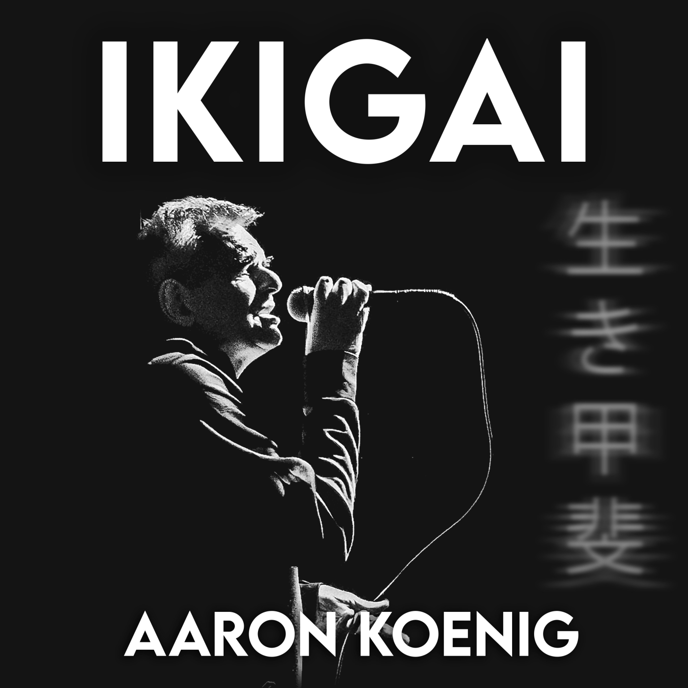 Ikigai image