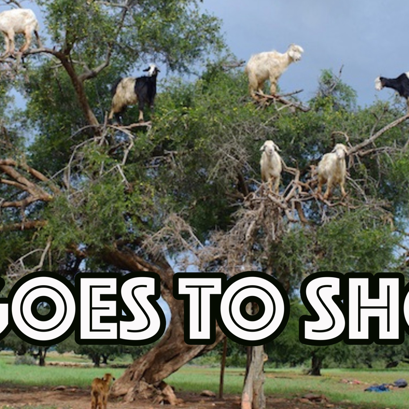 It Goes To Show image