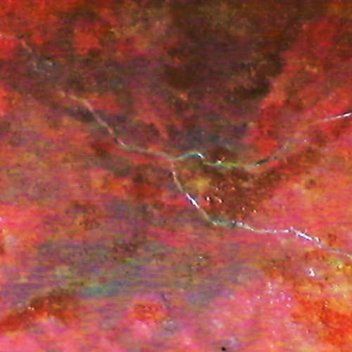 TOMATO VENDETTA image