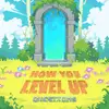 How You Level Up