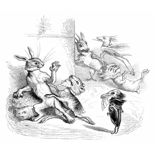 The Bunny and the Coyote image