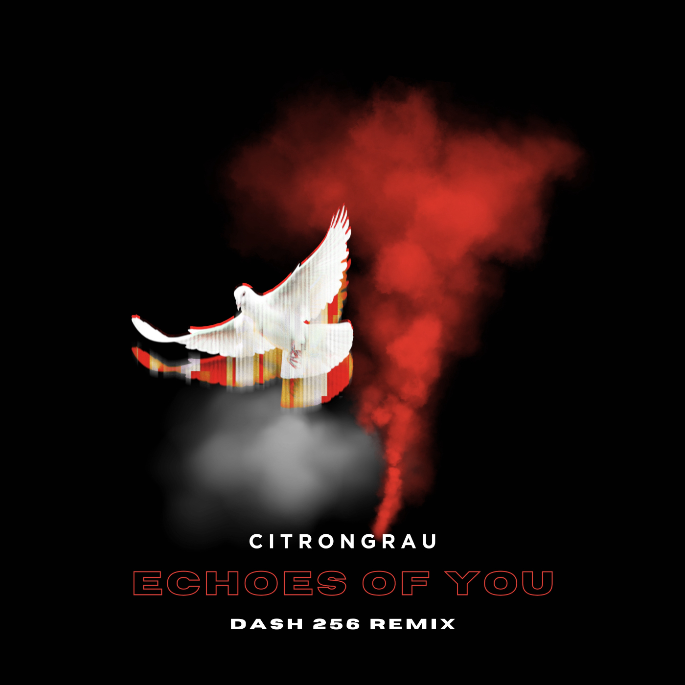 echoes of you (DASH 256 Remix) image