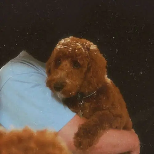 Not Getting Better image