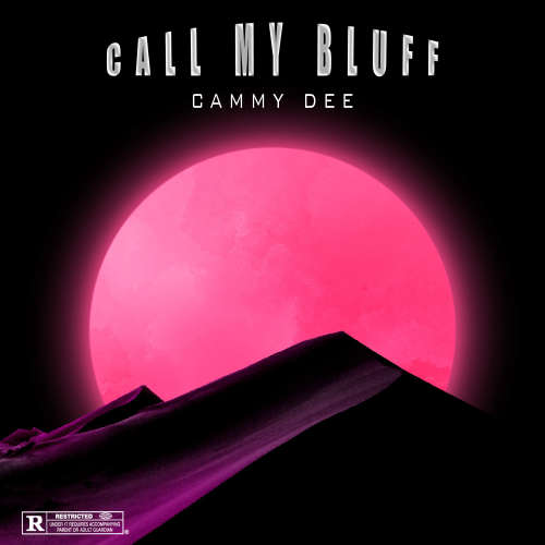 Call My Bluff image