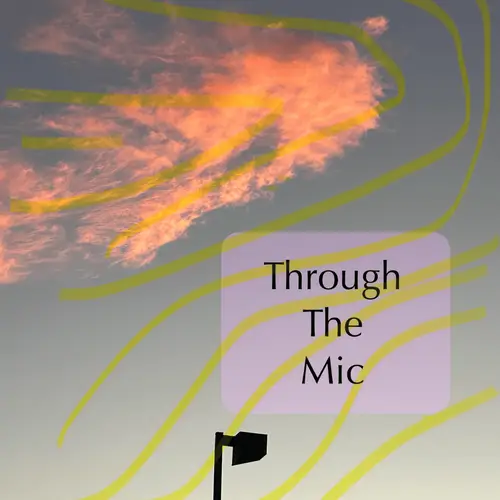 Through The Mic - Single image