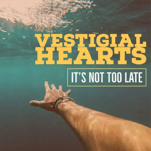 It's Not Too Late image