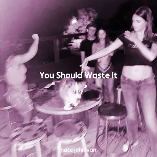 You Should Waste It image