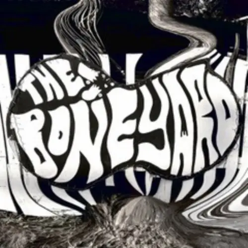 Pelvis Escondido - Party at The Boneyard! image