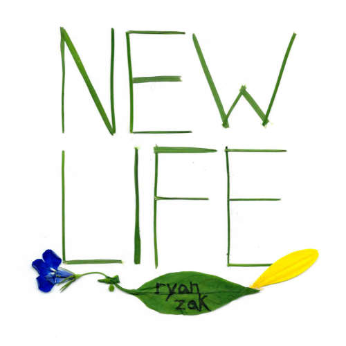 New Life image