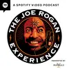 The Joe Rogan Experience