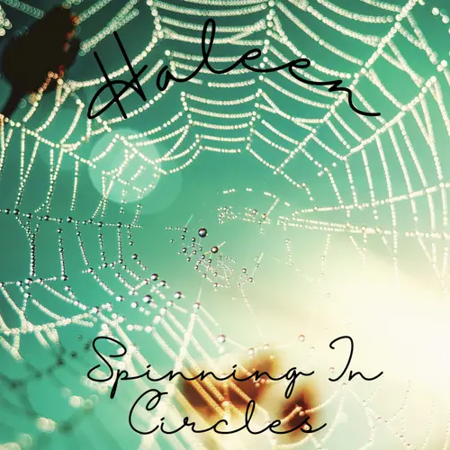 Spinning In Circles image