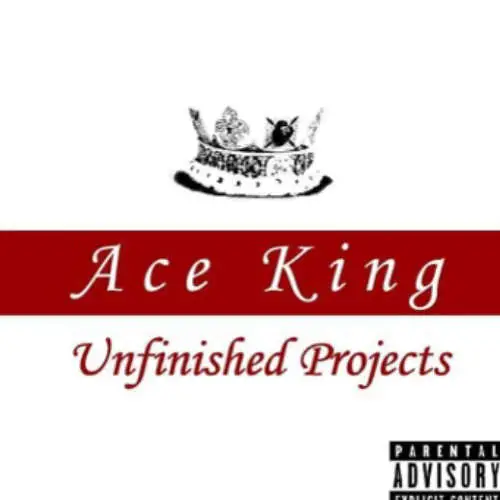 AceKing: Unfinished Projects image