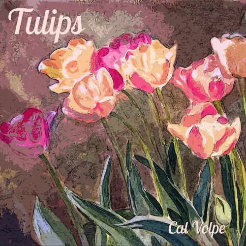Tulips image