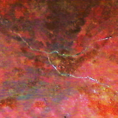 A Japanese Egg Sandwich image