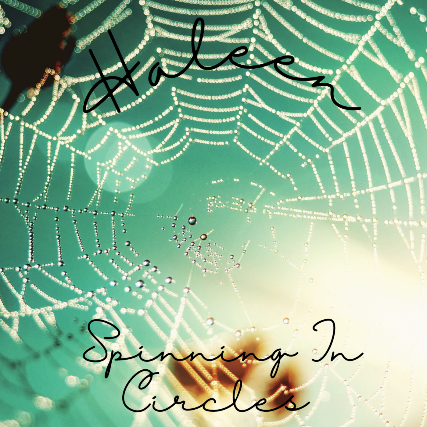 Spinning In Circles image