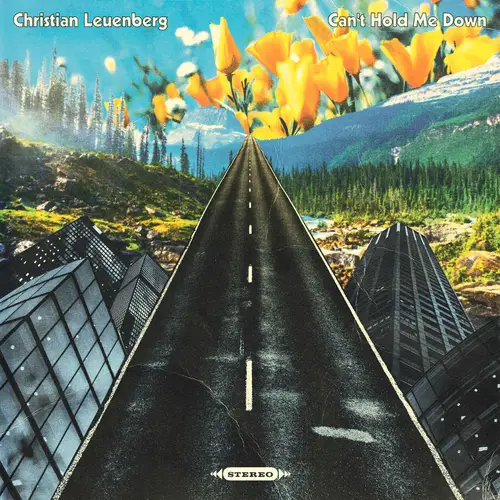 Can't Hold Me Down image