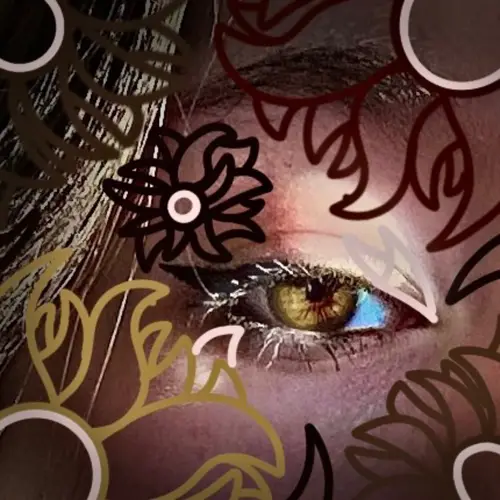 Chrysanthemums image