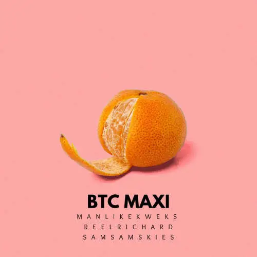 BTC MAXI | SAM x REEL x KWEKS image