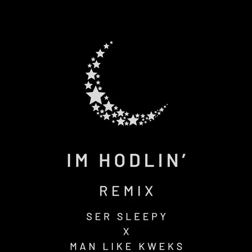 I'm Hodlin' Remix image