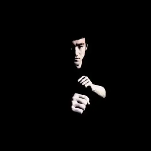 BRUCE LEE FLOW image