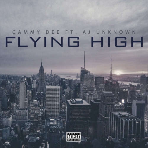 Flying High image