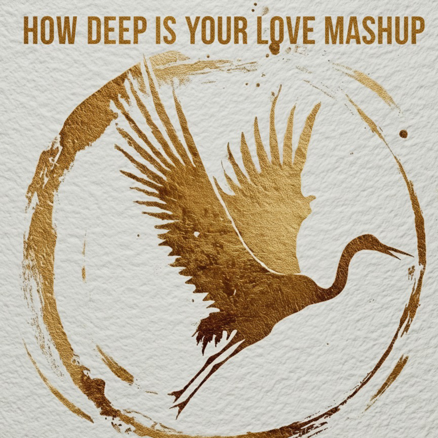 How Deep Is Your Love Mashup image